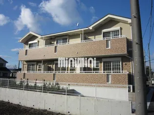 フェスティバルの画像