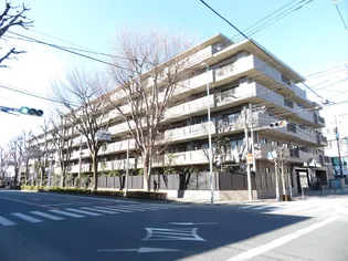 ロイヤルアーク浦和常盤の画像