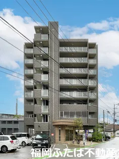 横手 はなみずきの画像