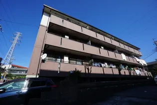 フェニックス Bの画像