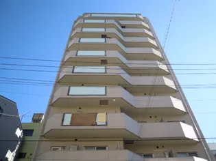 SYFORME IRIYAの画像
