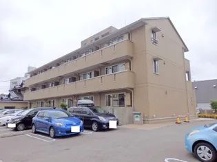 BANYAN TREEの画像