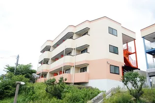 ヒルヴィスタ【3階】の外観