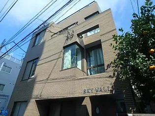 スカイウォールの画像