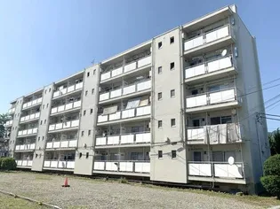 ビレッジハウス戸川1号棟【5階】の外観