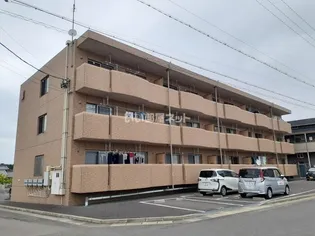 CAVALLINO RAMPANTEの画像