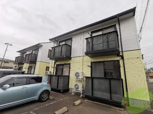 Nコートオキノの画像