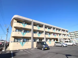 プラトー原の画像