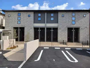 エナールSIの画像