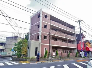 セレッソの画像