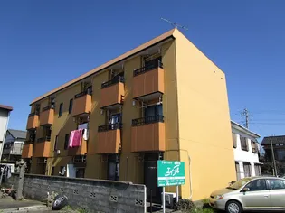 テネレッツァの画像