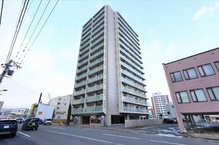 ビッグパレス北14条【11階】の外観