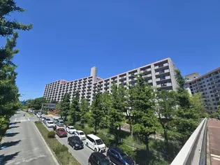 桃山台グランドマンションD3棟の画像