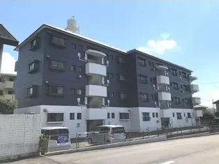 アリビオの画像