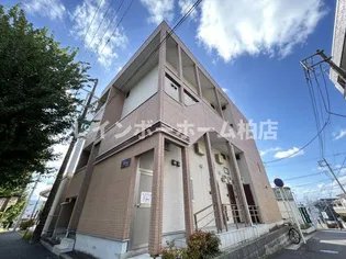 CB馬橋ミシェルの画像