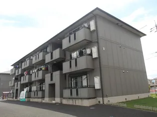 THICK FORESTの画像