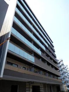 アルテシモグレイスの画像