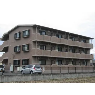 ゴールドランドの画像