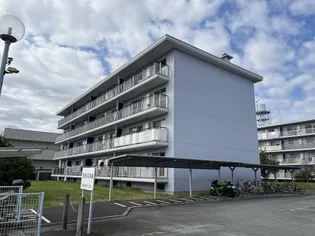 MESSAGE桜橋 南棟【3階】の外観