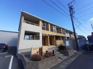 サイネリア Iの画像