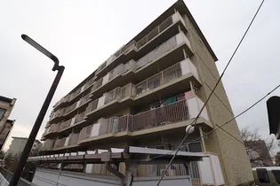 サンシャイン20の画像