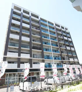 レイ クレストの画像