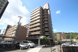 ラフィーネ Nの画像