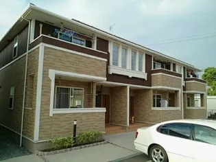 フェリス バリオAの画像