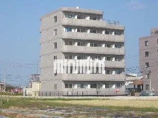 プルミエアムールの画像