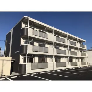 URBAN FOREST Tの画像