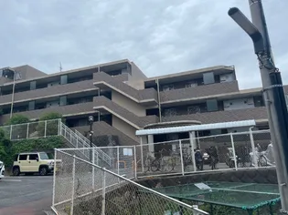 ピュアハイツの画像