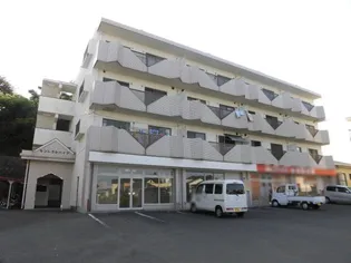 セントラルハイツ A棟の画像