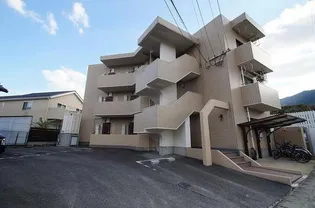 プチセントリーフの画像