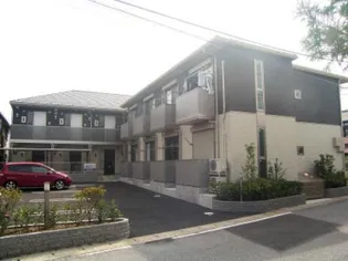 アンゼリカの画像