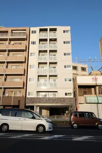 ジプソフィラの画像