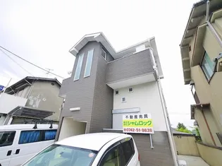 アッシュビーアコダの画像