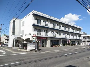 エバンス ワケⅡの画像