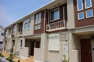 カンフォーラの画像