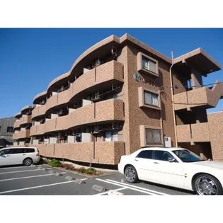 ベル フラワーの画像