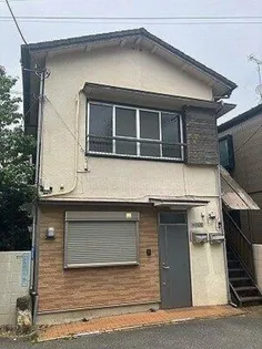 ポトスYの画像