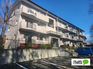 グリーンエコーズの画像