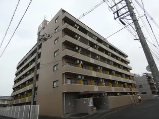 グレイスハイツ長町【5階】の外観