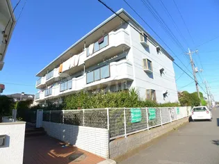 フェルムグレースの画像