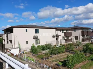 ハーヴェスト西向日の画像