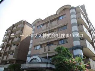 パールメガリスの画像