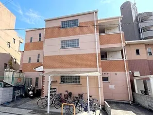 大阪府柏原市国分本町1【マンション】の外観
