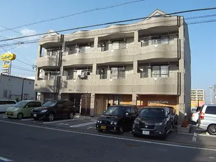 サザンクロスの画像