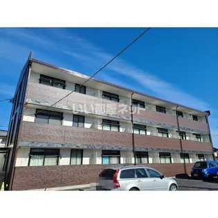 アムールの画像