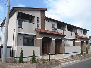 リリー ヴァリーVの画像