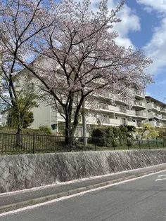 境谷西第二住宅26棟の画像